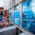 Shark Warrior - Dive Charter Vessel